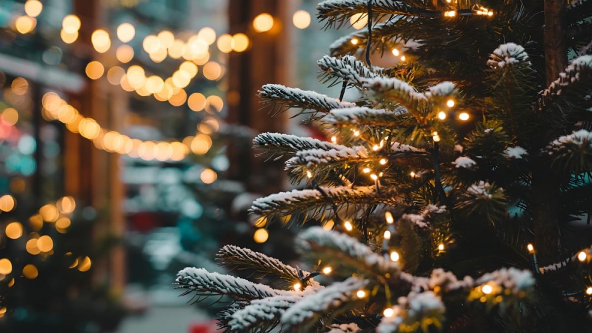 Die Chancen auf wei&szlig;e Weihnachten steigen. (Foto)