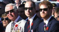 König Charles hat einen Geheimplan geschmiedet, um seine zerstrittenen Söhne, William und Harry, wieder zusammenzubringen.