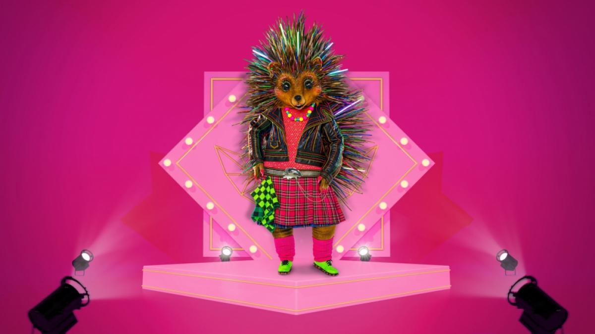 Bei "The Masked Singer" geht es tierisch weiter: Der Igel wurde als zweite Maske f&uuml;r die 8. Staffel vorgestellt. (Foto)