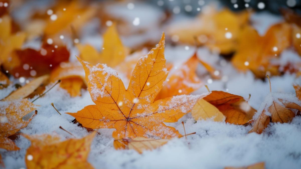 Ein Wintereinbruch ist in Deutschland derzeit nicht in Sicht. (Foto)