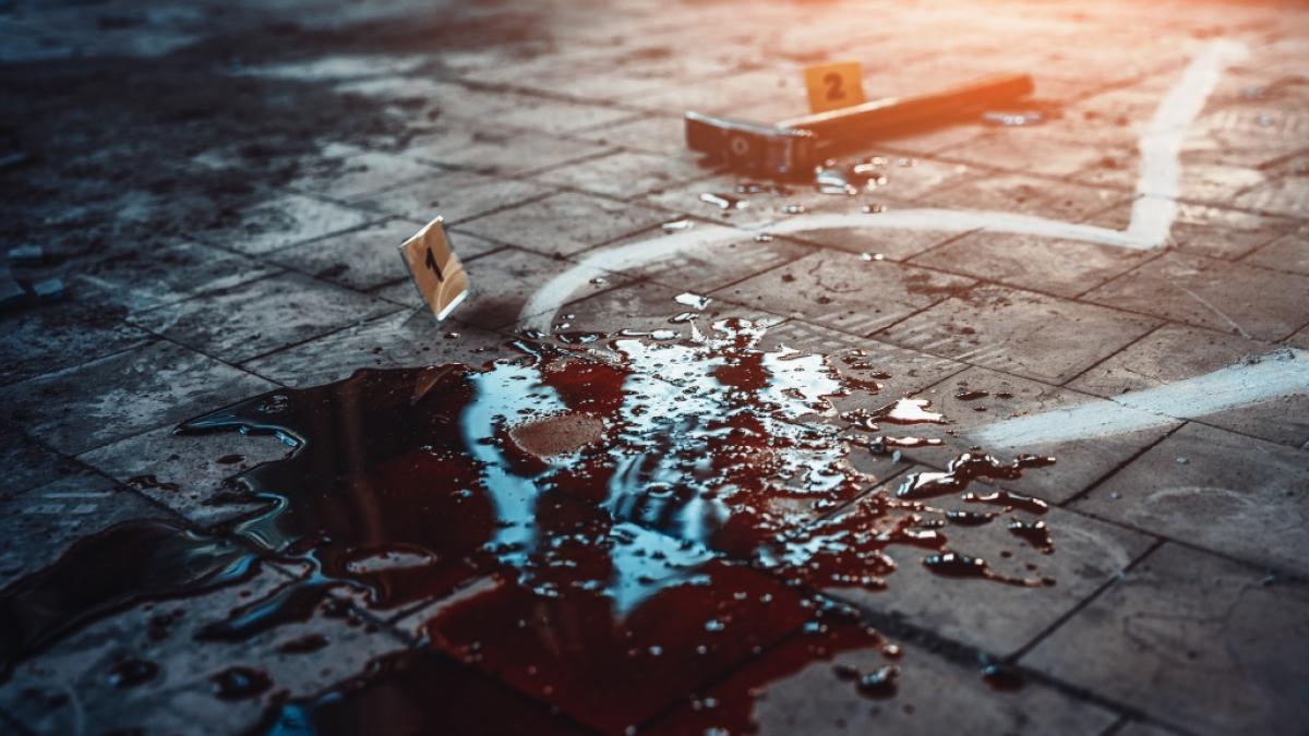 Die Leiche von Maria Chindamo sollen die T&auml;ter an Schweine verf&uuml;ttert haben. (Foto)