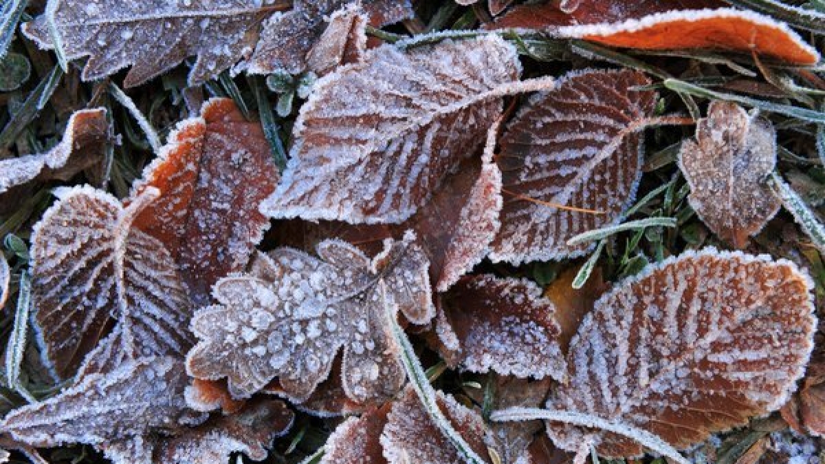 Ob der November wirklich grau und nass wird? (Foto)