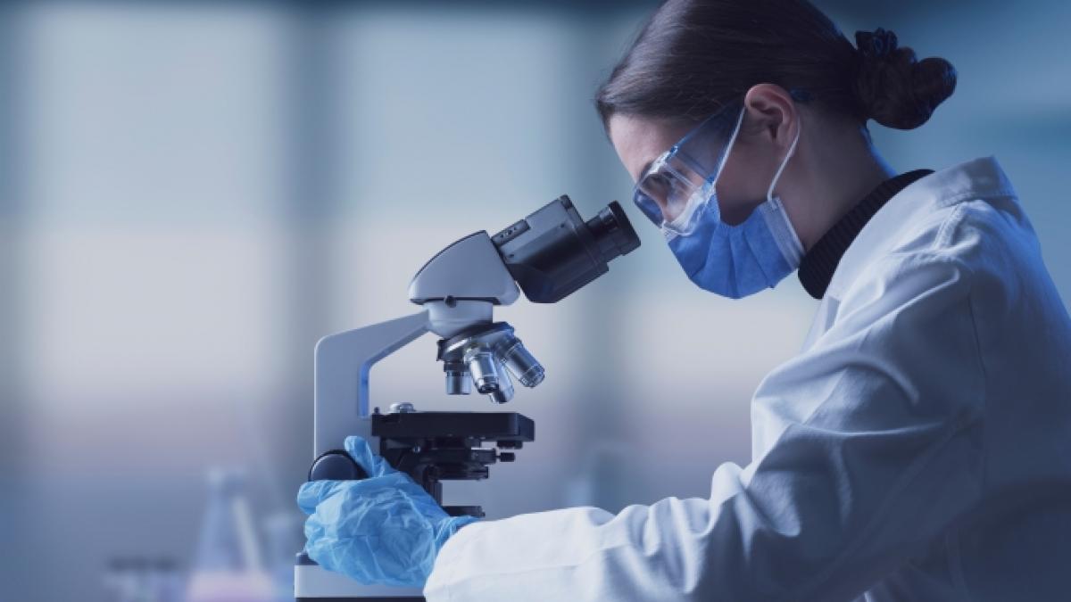 Im US-Bundestaat Alabama ist ein neuartiger Erreger nachgewiesen worden, dem Forschende den Namen Camp-Hill-Virus gaben. (Foto)