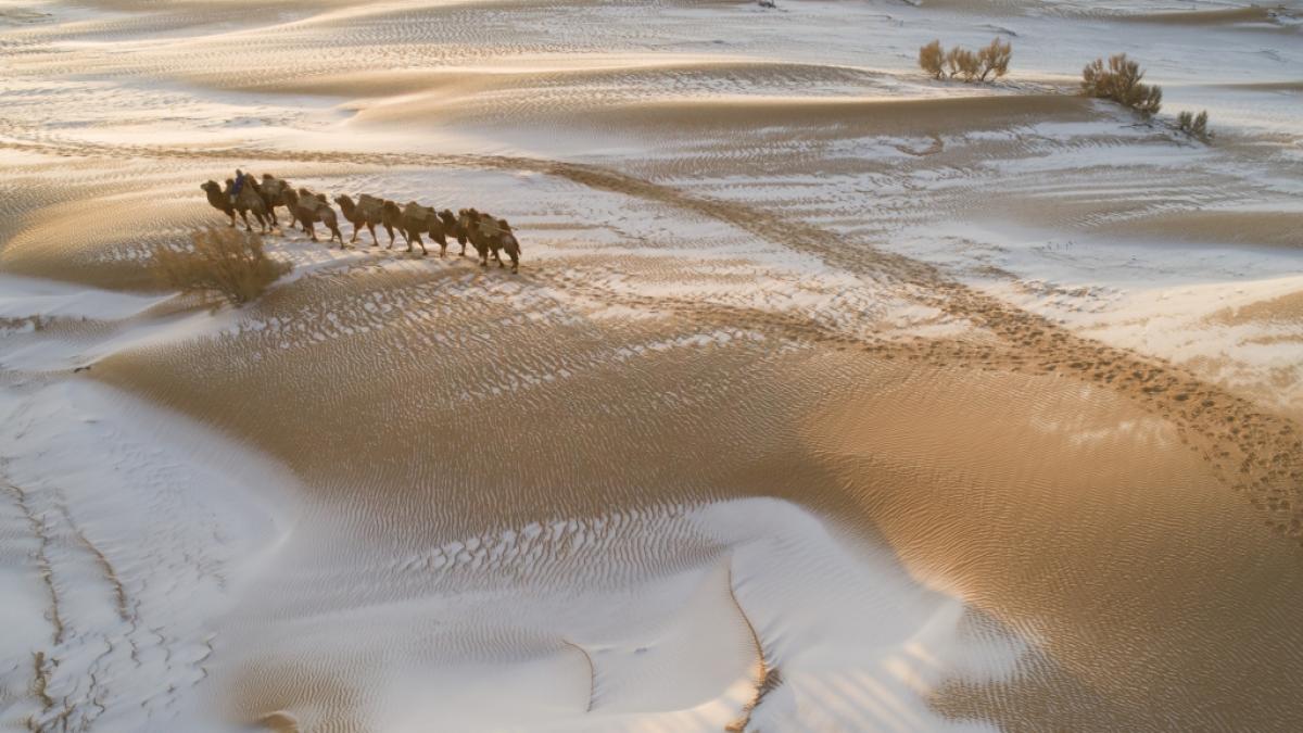 Einige Gl&auml;ubige sehen in der schneebedeckten W&uuml;stenlandschaft in der Inneren Mongolei das Ende der Welt. (Foto)