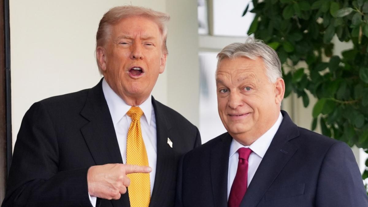 Donald Trump und Viktor Orban gelten als politische Verb&uuml;ndete. (Foto)