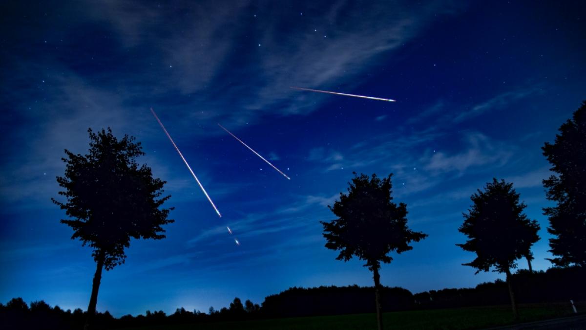 Im August flammen Hunderte Sternschnuppen am Himmel auf. (Foto)