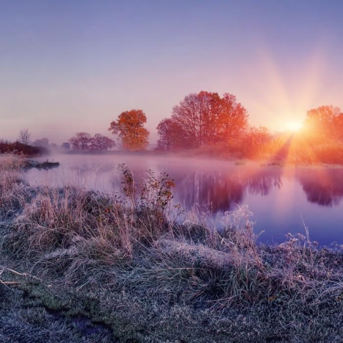 Wintereinbruch im November? Das prophezeit der 100-jährige Kalender