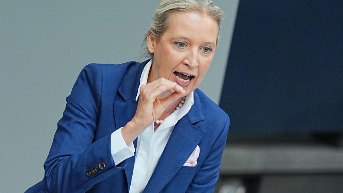 Beim AfD-Landesparteitag in Passau geht es um weit mehr als nur den bayerischen Vorsitz. (Foto)