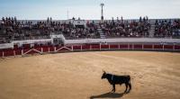 In der Arena von Saintes-Maries-de-la-Mer wurde der Stierkämpfer Enzo Robert von einem Stier tödlich verletzt.