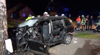 Der Unfallwagen mit den sechs Kindern an Bord krachte mit voller Wucht gegen einen Baum.