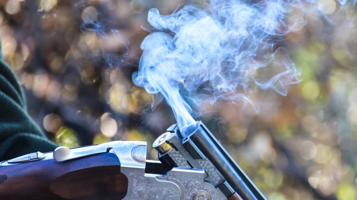 Mit einem Jagdgewehr soll der Graf seine halbe Familie ausgel&ouml;scht haben. (Foto)