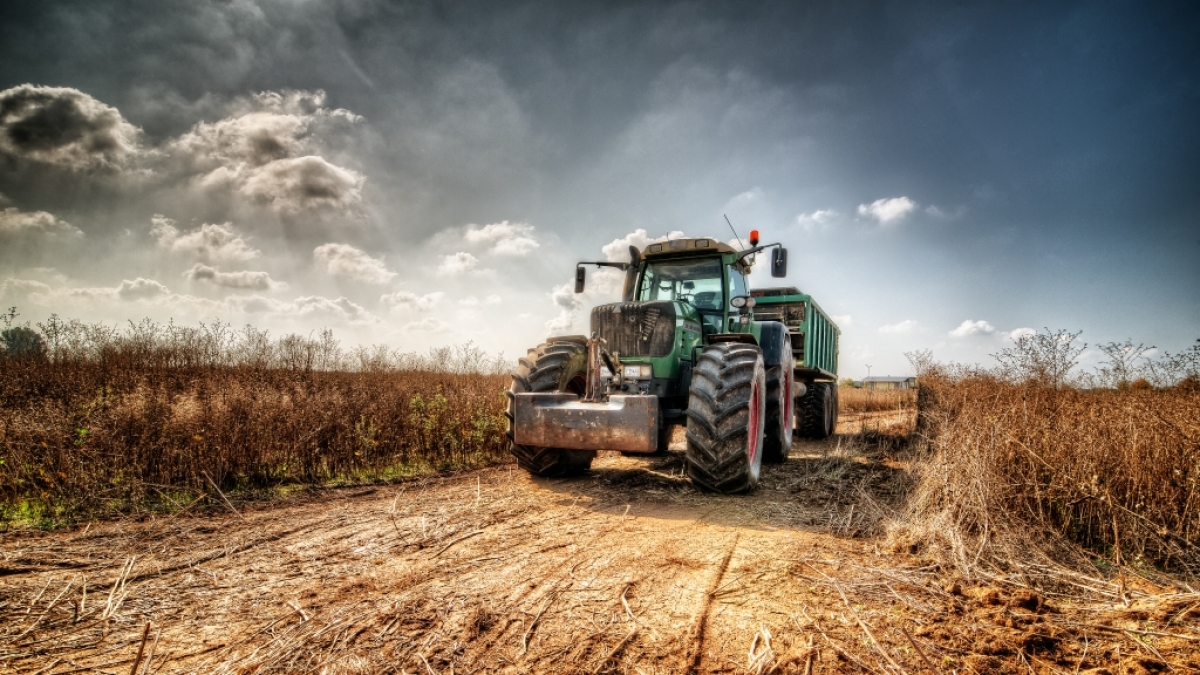 Ein dreij&auml;hriger Junge ist in England bei einem Traktor-Ungl&uuml;ck verstorben. (Foto)