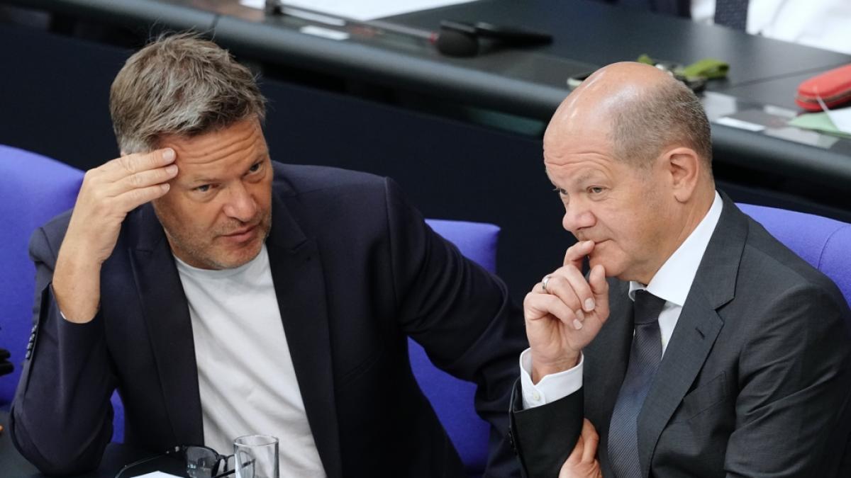 Robert Habeck und Olaf Scholz werden immer wieder wegen ihrer Entscheidungen kritisiert. (Foto)