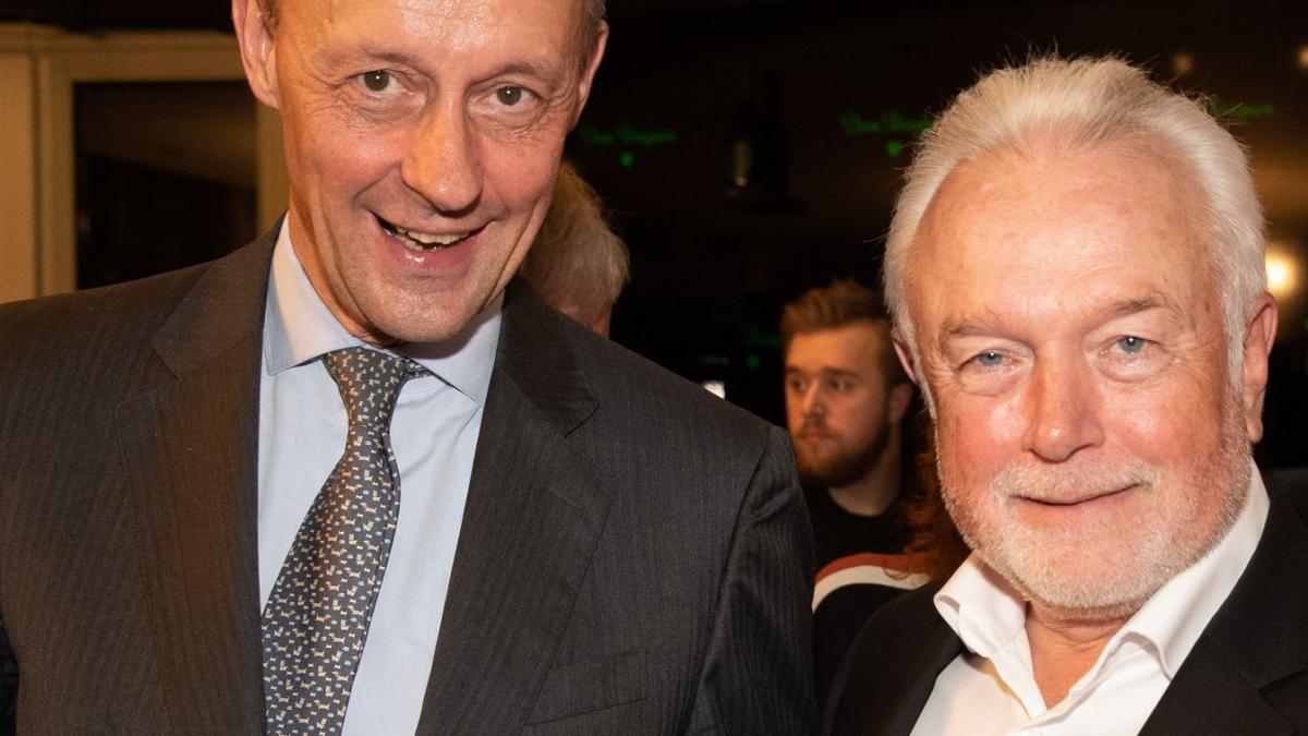 Wolfgang Kubicki (FDP) beleidigte Bundeskanzler Friedrich Merz (CDU). (Foto)