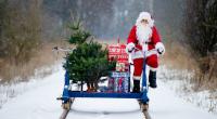 Wo gibt es in diesem Jahr Schnee an Weihnachten?