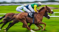 Ein Sturz beim Pferderennen kostete Jockey Lorna Brooke das Leben - sie wurde nur 37 Jahre alt (Symbolbild).