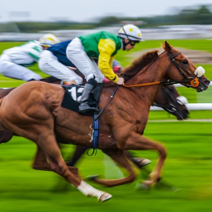 Koma nach Todessturz! Jockey (37) nach Unfall gestorben