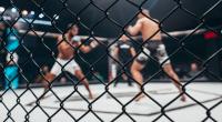 Ein MMA-Kämpfer (16) ist nach einem Kopftritt gestorben.