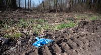 In Baden-Württemberg wurde ein 13-Jähriger offenbar von einem 14-Jährigen aus Eifersucht ermordet.