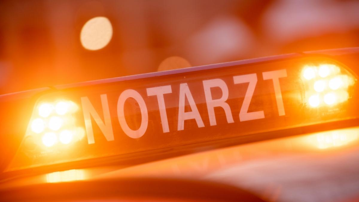 Ein siebenj&auml;hriges M&auml;dchen ist in M&uuml;nchen von einer zentnerschweren Steinstatue erschlagen worden (Symbolfoto). (Foto)