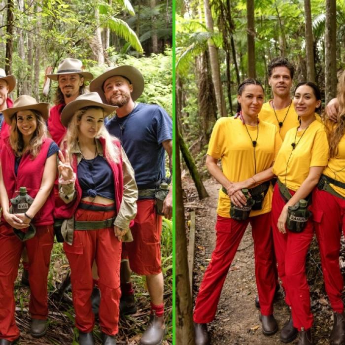Wirbel um geheime Nachricht - plante Ariel eine Fake-Liebe im TV?