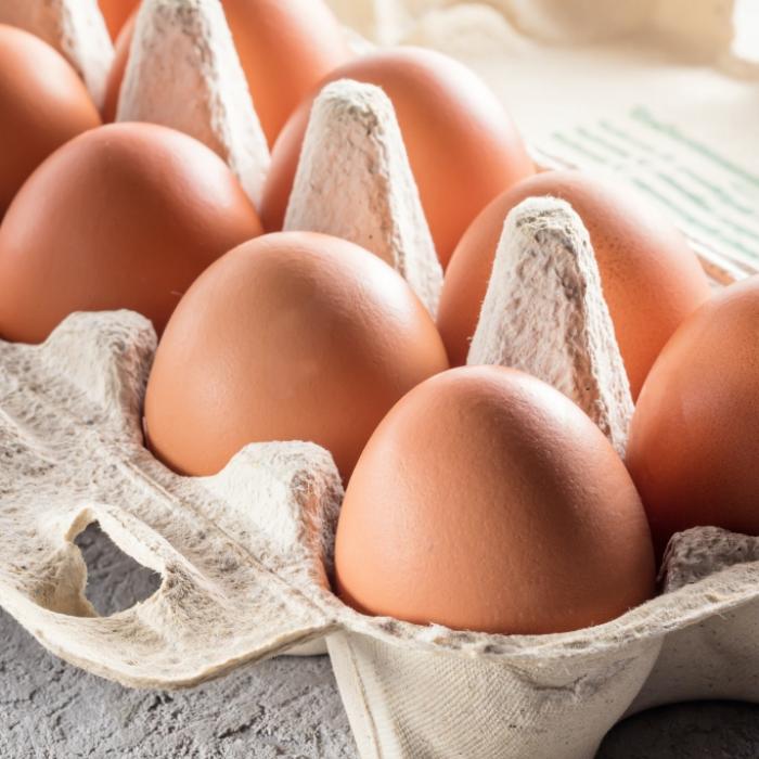 Wie ungesund sind Eier für den Cholesterinspiegel?