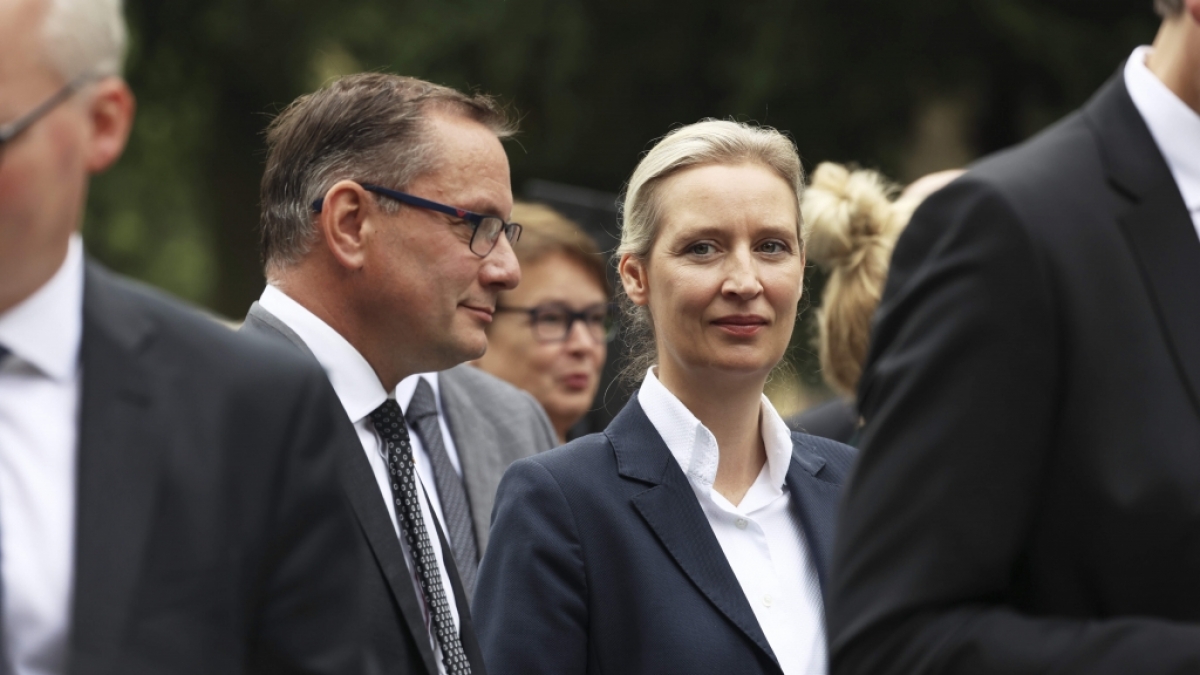 Aus welchen Bev&ouml;lkerungsgruppen erh&auml;lt die AfD die meiste Zustimmung? (Foto)