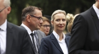 Aus welchen Bevölkerungsgruppen erhält die AfD die meiste Zustimmung?