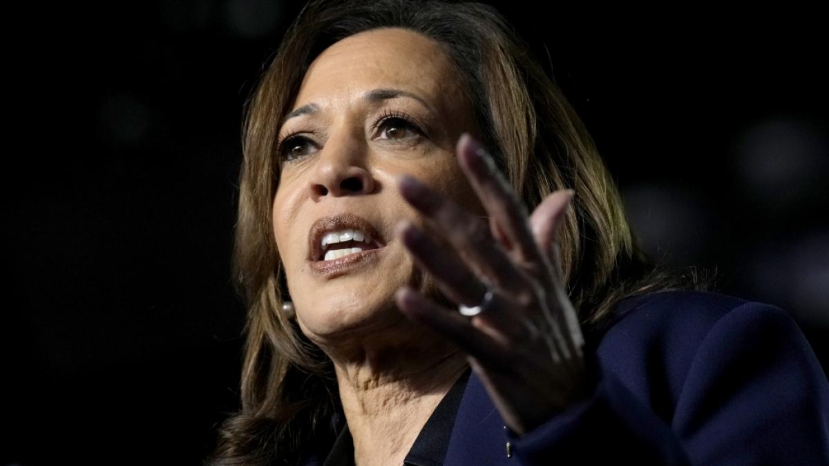 Kamala Harris spricht w&auml;hrend einer Wahlkampfveranstaltung. (Foto)