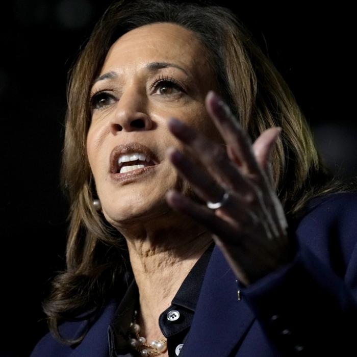 Trump oder Harris - Wie die Börse auf die US-Wahl reagieren wird
