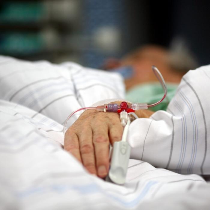 Borna-Virus fordert Todesopfer - was schützt vor einer BoDV-1-Infektion?
