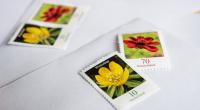 Die Deutsche Post hebt die Gebühren für den Briefversand ab Januar 2022 an.