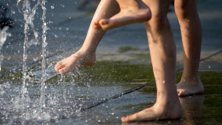 Verkauf von Wetterpatenschaften für 2016 startet.