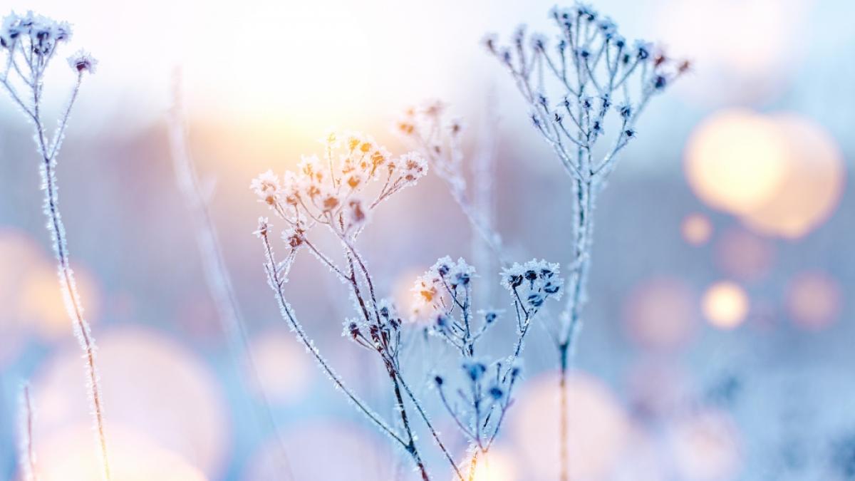 Meteorologen geben erste Prognose f&uuml;r das Wetter im Winter. (Foto)