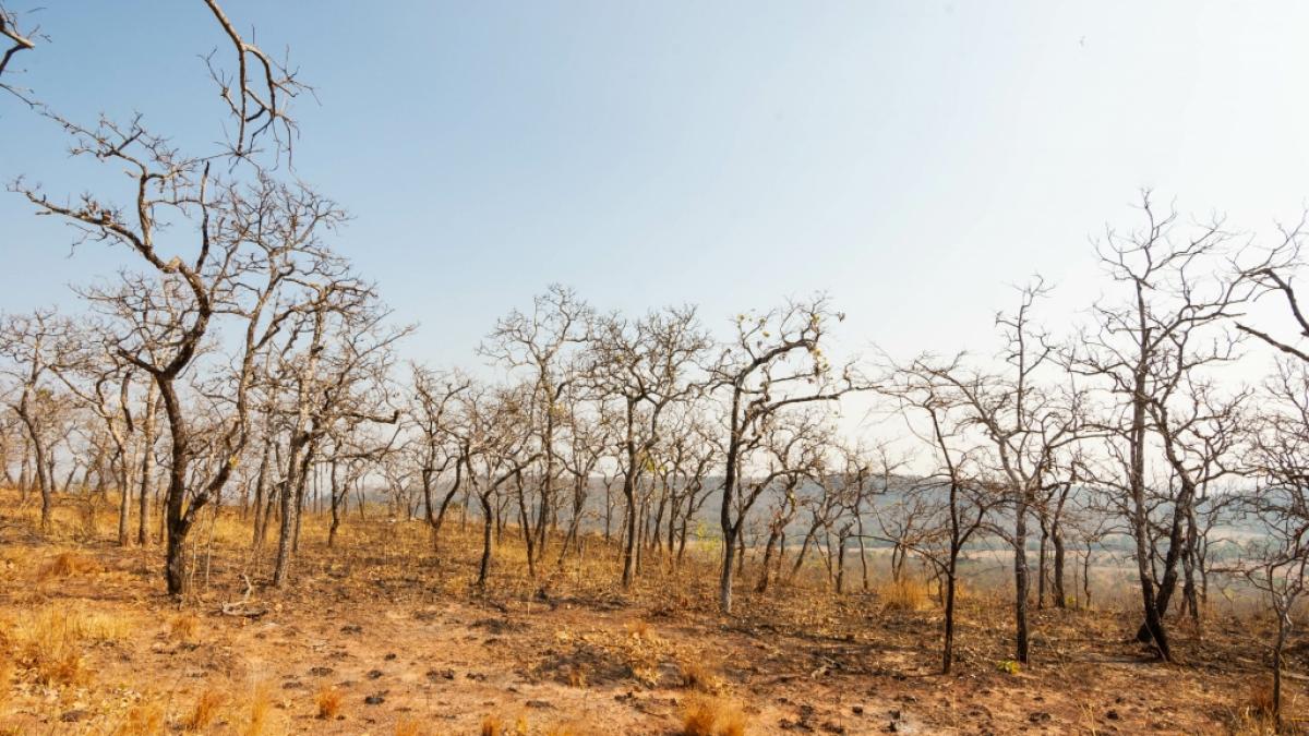 Beeinflusst&nbsp;La Ni&ntilde;a das Wetter auf der Nordhalbkugel nun das dritte Jahr in Folge? (Foto)