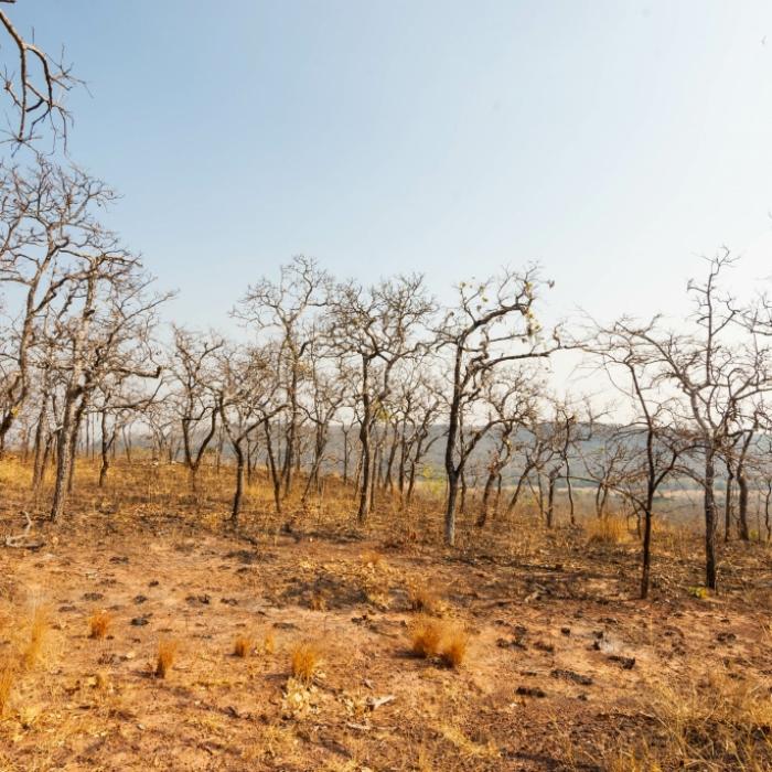 Dramatische Folgen für Deutschland! Meteorologen fürchten Wetter-Monster