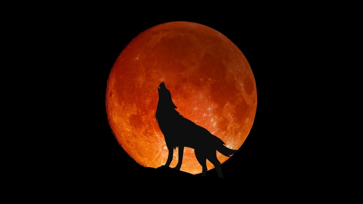 Im August warten neben einem roten Vollmond noch andere Highlights auf Astro-Fans. (Foto)