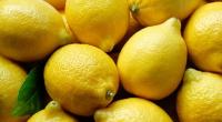 Zitronen enthalten bis zu 55 Milligramm Vitamin C auf 100 Gramm Frucht.