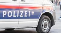Die Wiener Polizei ermittelt mit Hochdruck nach einer Reihe von Morden im Obdachlosen-Milieu - nun wurde eine weitere Leiche entdeckt.
