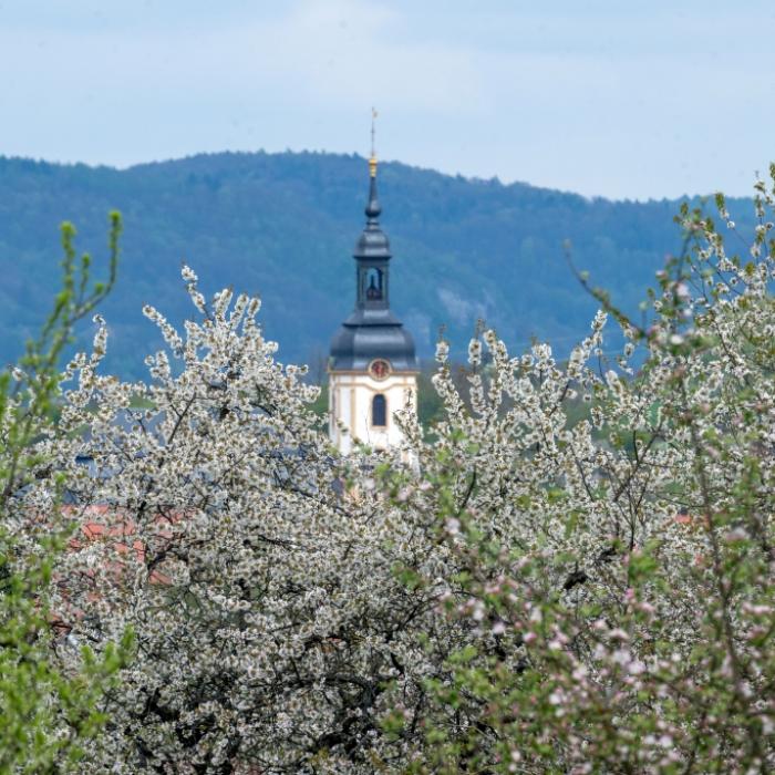 Forchheim, Bayern