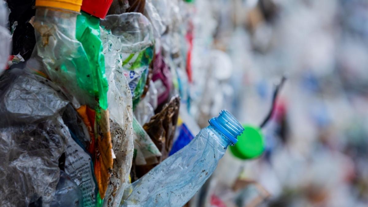 Forscher fanden Mikroplastik in Plazenten (Symbolfoto). (Foto)