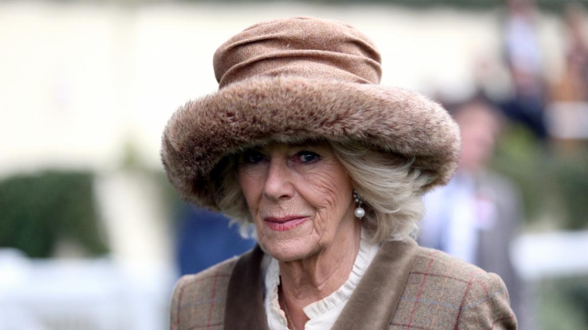 Herzogin Camilla sorgte in den Royal-News mit einem skandaltr&auml;chtigen Geschenk f&uuml;r Aufsehen. (Foto)