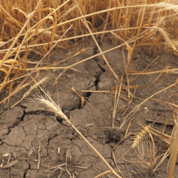 Blockade-Hoch schiebt sich über Deutschland! Meteorologen fürchten Prognose