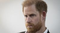 Prinz Harry gerät im Zuge der Missbrauchs- und Foltervorwürfe gegen die von ihm unterstützte 