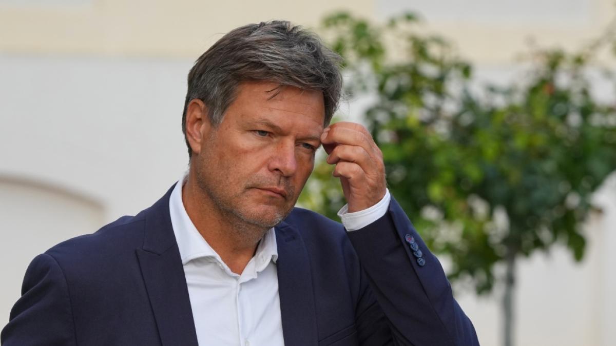 Wirtschaftsminister Robert Habeck soll zwei AKWs bis 2023 am Strom lassen wollen. (Foto)
