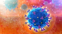 Die Coronavirus-News des Tages bei news.de.