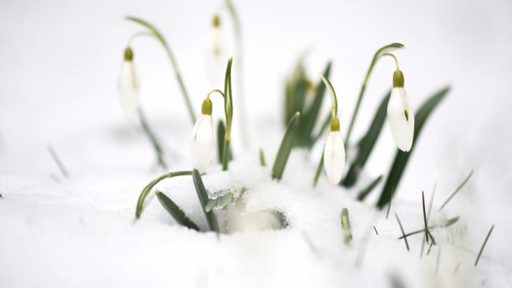 Deutschland muss sich an Ostern offenbar auf einen Temperatursturz einstellen.