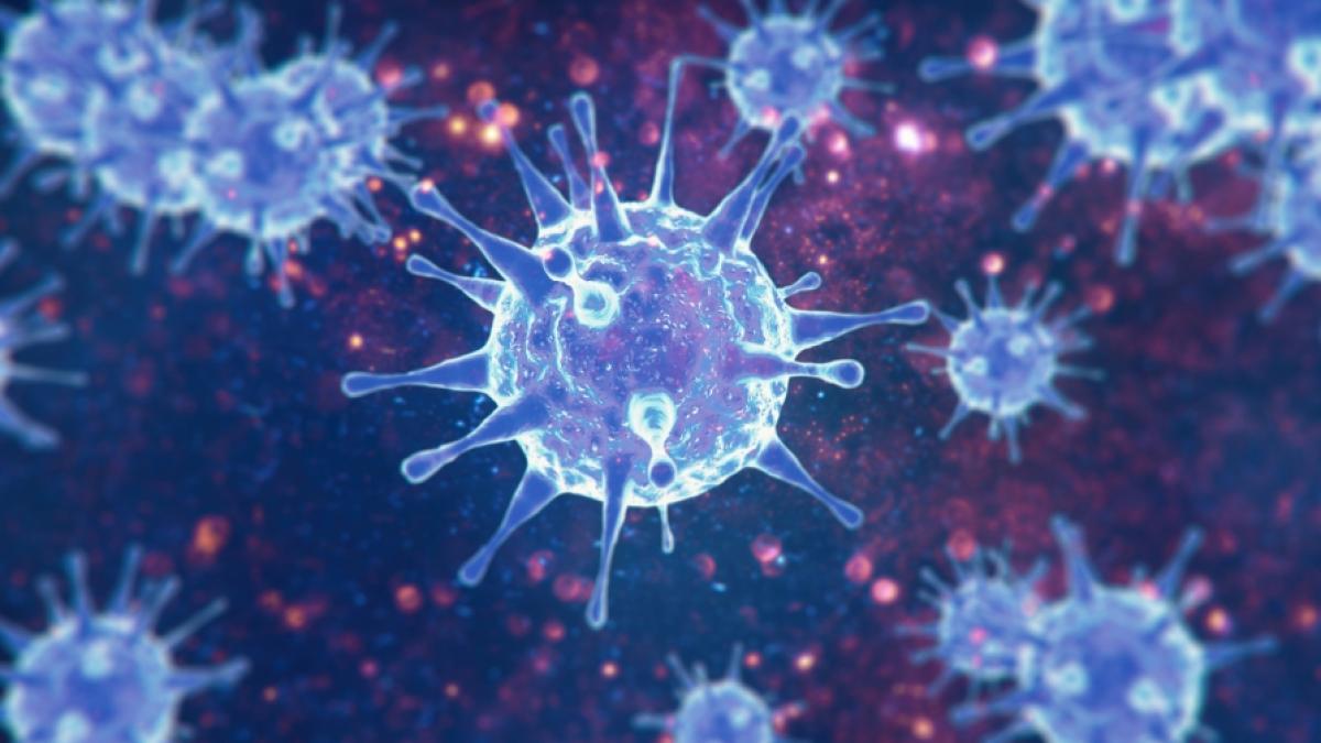 Eine neue Coronavirus-Variante namens BA.X k&ouml;nnte Experten zufolge eine neue Infektionswelle gewaltigen Ausma&szlig;es ausl&ouml;sen. (Foto)