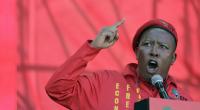Der südafrikanische Politiker Julius Malema sympathisiert mit Kreml-Chef Wladimir Putin.