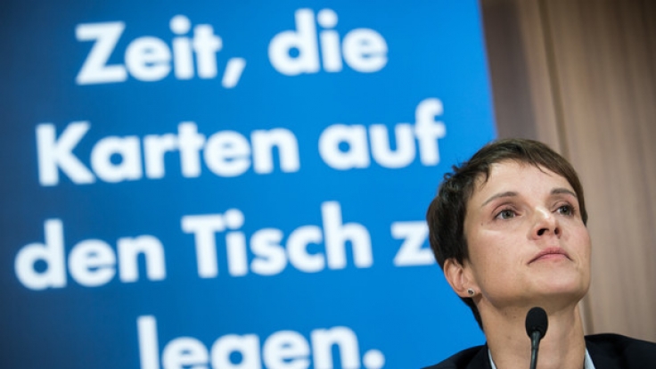 Ein neues Buch beleuchtet die Hintergründe der Alternative für Deutschland.